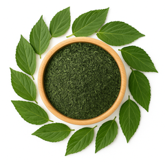 ملوخية مصرية مجففة فاخرة – أوراق طبيعية 100% – 1 كجم