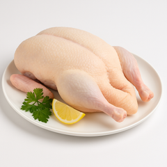 بط بلدى مصرى  2killo&500 gram